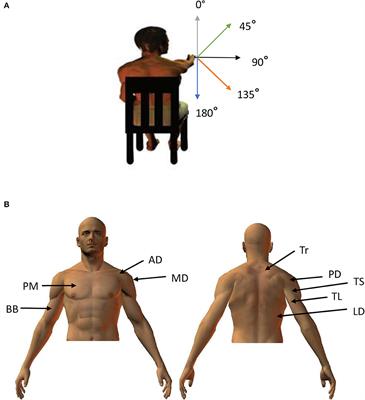 Too much information is no information: how machine learning and feature selection could help in understanding the motor control of pointing